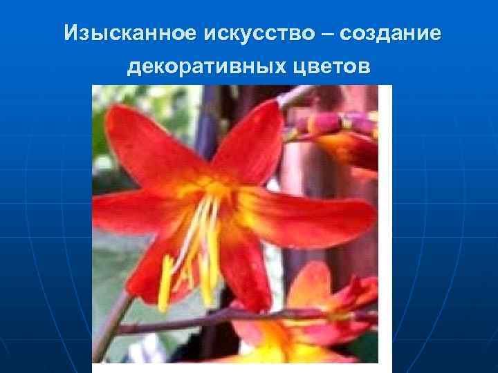 Изысканное искусство – создание декоративных цветов 
