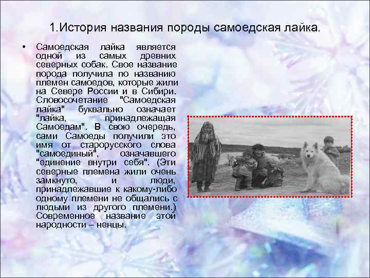 1. История названия породы самоедская лайка. • Самоедская лайка является одной 1. История названия породы самоедская лайка. • Самоедская лайка является одной