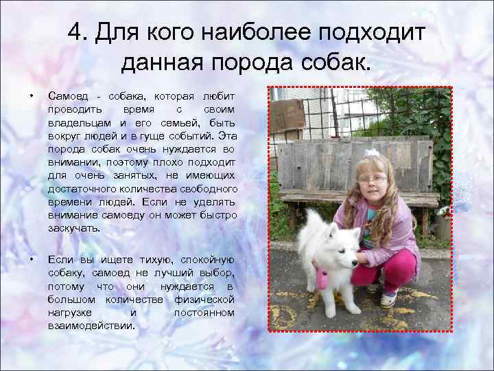 4. Для кого наиболее подходит данная порода собак. • 4. Для кого наиболее подходит данная порода собак. •