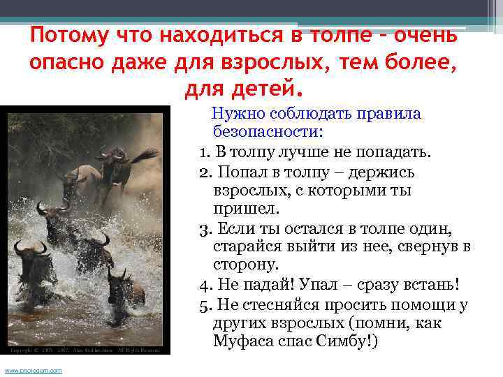  Потому что находиться в толпе – очень  опасно даже для взрослых, тем