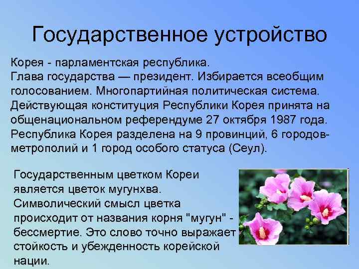   Государственное устройство Корея - парламентская республика. Глава государства — президент. Избирается всеобщим