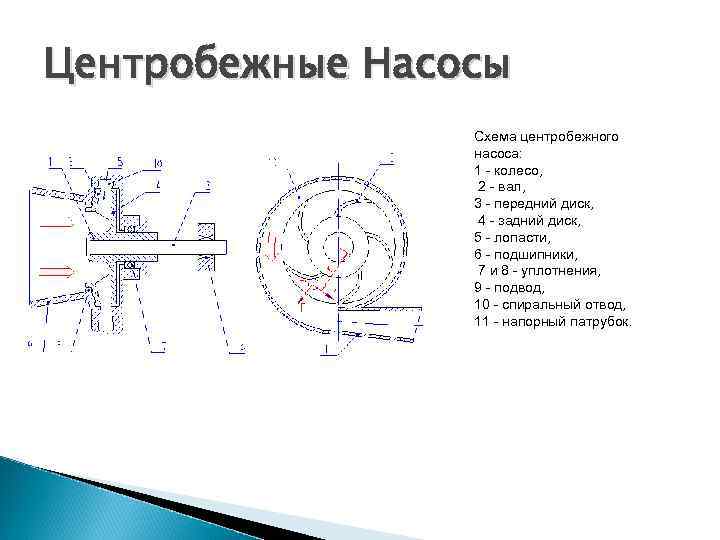 Центробежные Насосы   Схема центробежного   насоса:    1 -