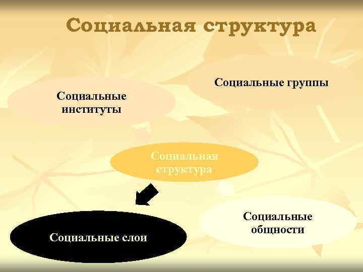  Социальная структура     Социальные группы Социальные  институты  
