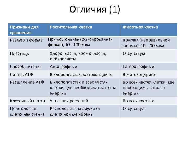       Отличия (1) Признаки для  Растительная клетка 