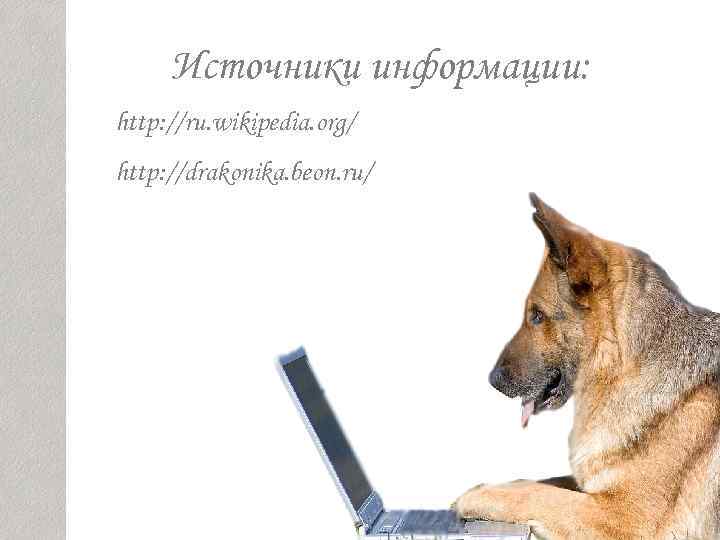  Источники информации: http: //ru. wikipedia. org/ http: //drakonika. beon. ru/ 