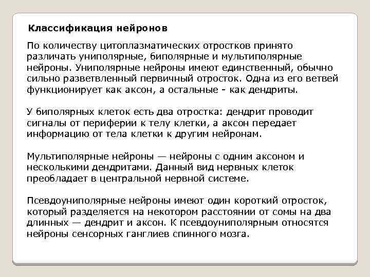 Классификация нейронов По количеству цитоплазматических отростков принято различать униполярные, биполярные и мультиполярные нейроны. Униполярные