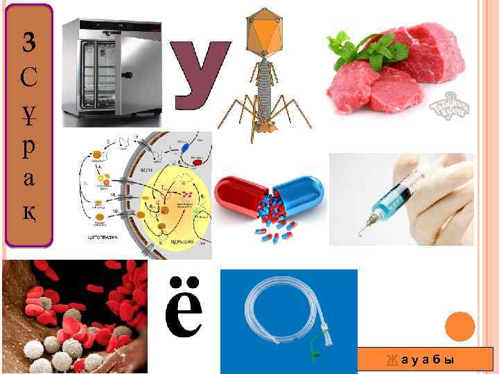 3 С ұ р а қ Жауабы 