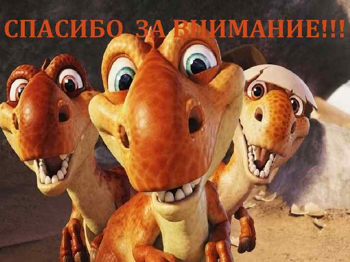 СПАСИБО ЗА ВНИМАНИЕ!!! 