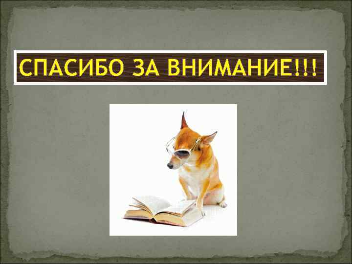 СПАСИБО ЗА ВНИМАНИЕ!!! 