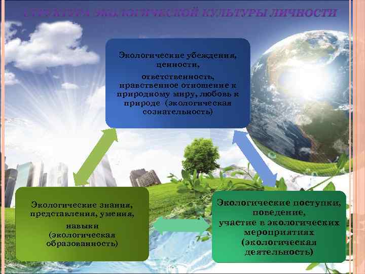 Какое значение имеют экологические знания. Нравственное отношение к природе. Навыки эколога. Знания о природе примеры. Нравственная экология примеры.