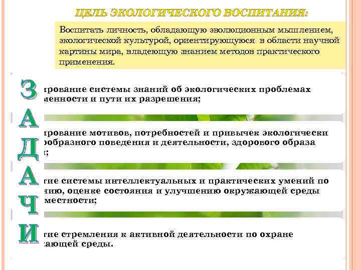 Воспитать личность, обладающую эволюционным мышлением, экологической культурой, ориентирующуюся в области научной картины мира, владеющую