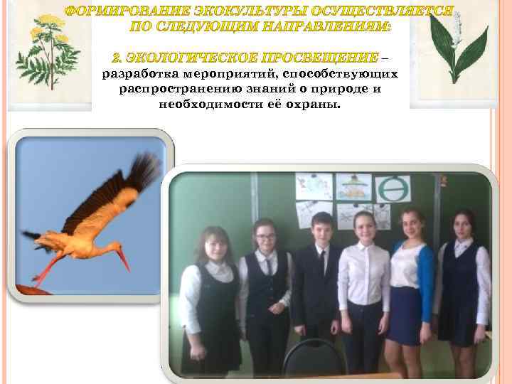 – разработка мероприятий, способствующих распространению знаний о природе и необходимости её охраны. 