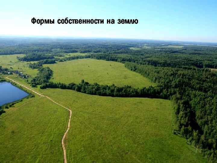 Формы собственности на землю 