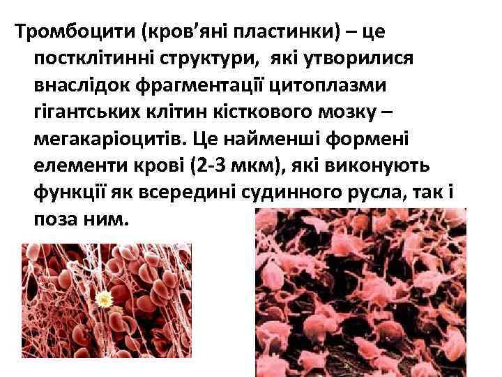 Тромбоцити (кров’яні пластинки) – це постклітинні структури, які утворилися внаслідок фрагментації цитоплазми гігантських клітин
