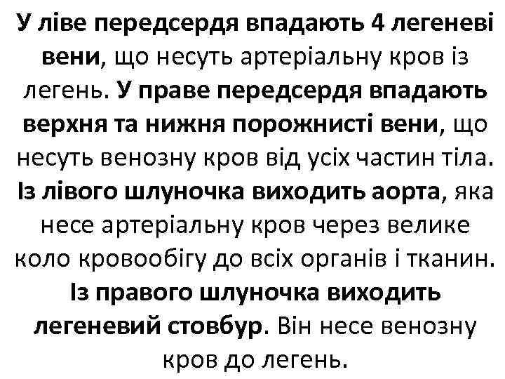 У ліве передсердя впадають 4 легеневі вени, що несуть артеріальну кров із легень. У