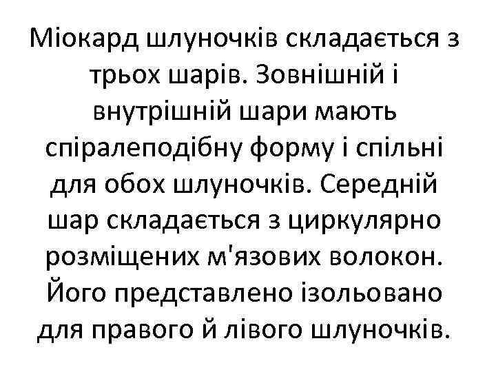 Міокард шлуночків складається з трьох шарів. Зовнішній і внутрішній шари мають спіралеподібну форму і