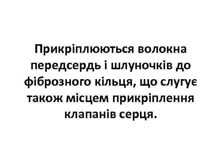 Прикріплюються волокна передсердь і шлуночків до фіброзного кільця, що слугує також місцем прикріплення клапанів