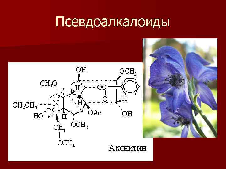 Псевдоалкалоиды n изопреноиды 