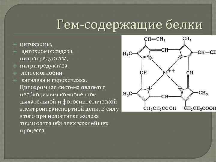Соединения содержащие в своем составе. Структура гема биохимия. Гем. Железо гема. Гем строение биохимия.