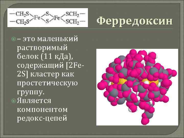 Состав какого вещества входит железо. Ферредоксин. Ферредоксин строение. Строение железосерных белков. Ферредоксин формула.