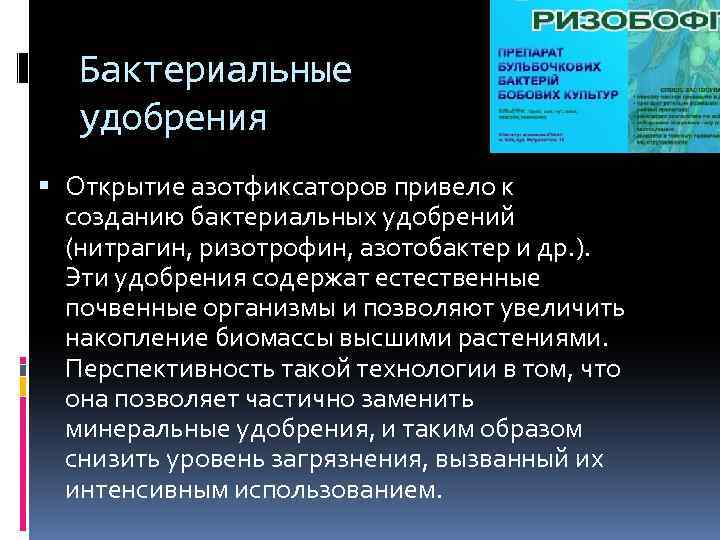 Бактериальные удобрения Открытие азотфиксаторов привело к созданию бактериальных удобрений (нитрагин, ризотрофин, азотобактер и др.
