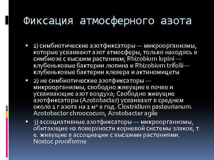 Способны к фиксации атмосферного азота