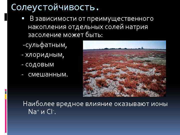 Солеустойчивость. В зависимости от преимущественного накопления отдельных солей натрия засоление может быть: сульфатным, хлоридным,