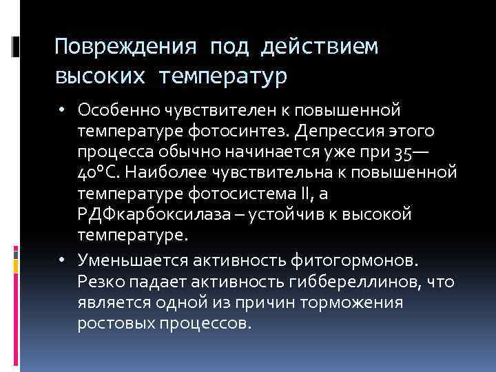 Повреждения под действием высоких температур • Особенно чувствителен к повышенной температуре фотосинтез. Депрессия этого