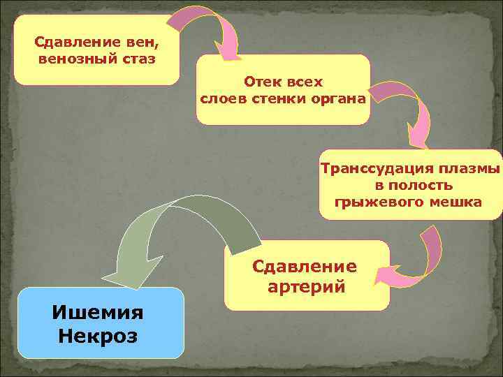 Сдавление вен, венозный стаз Отек всех слоев стенки органа Транссудация плазмы в полость грыжевого
