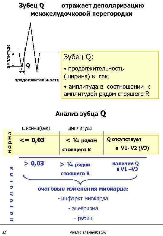амплитуда Зубец Q отражает деполяризацию межжелудочковой перегородки Зубец Q: Q • продолжительность (ширина) в