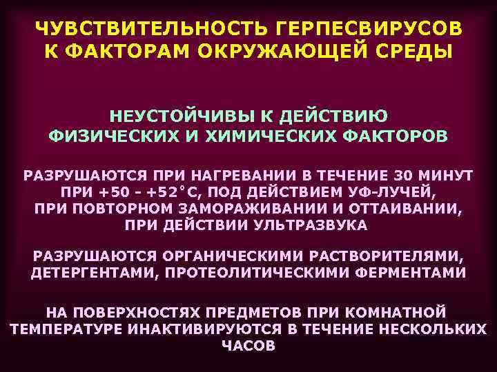  ЧУВСТВИТЕЛЬНОСТЬ ГЕРПЕСВИРУСОВ  К ФАКТОРАМ ОКРУЖАЮЩЕЙ СРЕДЫ   НЕУСТОЙЧИВЫ К ДЕЙСТВИЮ 