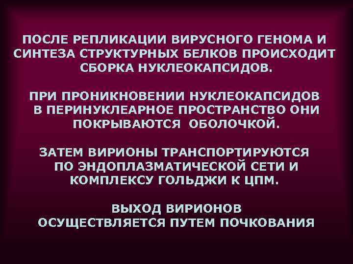  ПОСЛЕ РЕПЛИКАЦИИ ВИРУСНОГО ГЕНОМА И СИНТЕЗА СТРУКТУРНЫХ БЕЛКОВ ПРОИСХОДИТ   СБОРКА НУКЛЕОКАПСИДОВ.