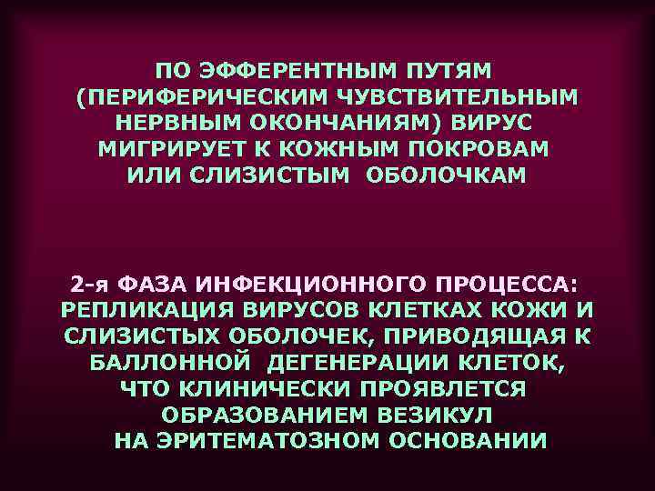  ПО ЭФФЕРЕНТНЫМ ПУТЯМ (ПЕРИФЕРИЧЕСКИМ ЧУВСТВИТЕЛЬНЫМ  НЕРВНЫМ ОКОНЧАНИЯМ) ВИРУС  МИГРИРУЕТ К КОЖНЫМ