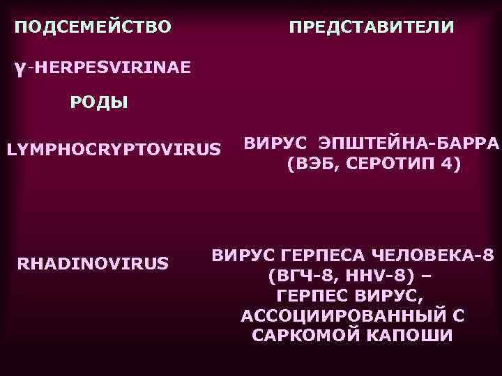 ПОДСЕМЕЙСТВO  ПРЕДСТАВИТЕЛИ γ-HERPESVIRINAE РОДЫ LYMPHOCRYPTOVIRUS  ВИРУС ЭПШТЕЙНА-БАРРА    (ВЭБ, СЕРОТИП