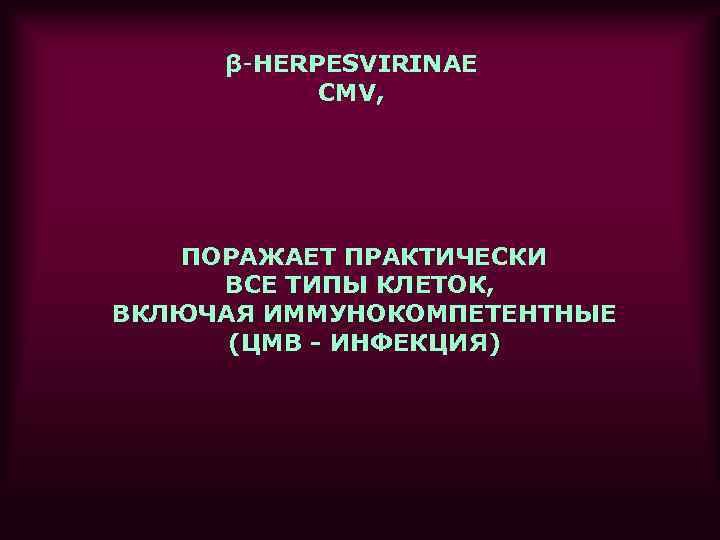  β-HERPESVIRINAE  CMV,   ПОРАЖАЕТ ПРАКТИЧЕСКИ ВСЕ ТИПЫ КЛЕТОК, ВКЛЮЧАЯ ИММУНОКОМПЕТЕНТНЫЕ 