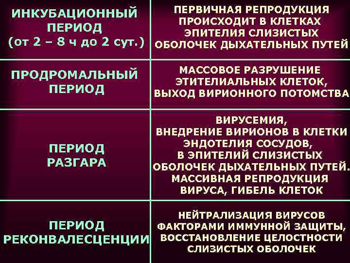  ИНКУБАЦИОННЫЙ  ПЕРВИЧНАЯ РЕПРОДУКЦИЯ      ПРОИСХОДИТ В КЛЕТКАХ 
