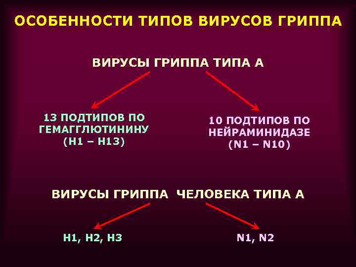 ОСОБЕННОСТИ ТИПОВ ВИРУСОВ ГРИППА  ВИРУСЫ ГРИППА ТИПА А  13 ПОДТИПОВ ПО 10