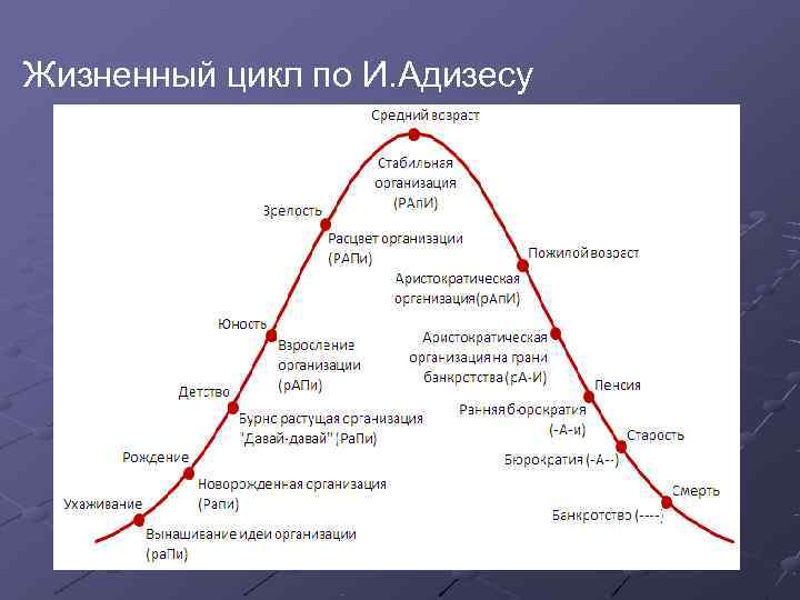 Жизненный цикл по И. Адизесу Жизненный цикл по И. Адизесу