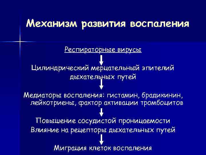 Механизм развития воспаления   Респираторные вирусы  Цилиндрический мерцательный эпителий  дыхательных путей