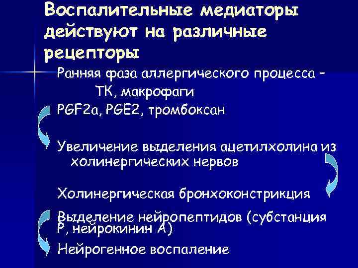 Воспалительные медиаторы действуют на различные рецепторы Ранняя фаза аллергического процесса –  ТК, макрофаги