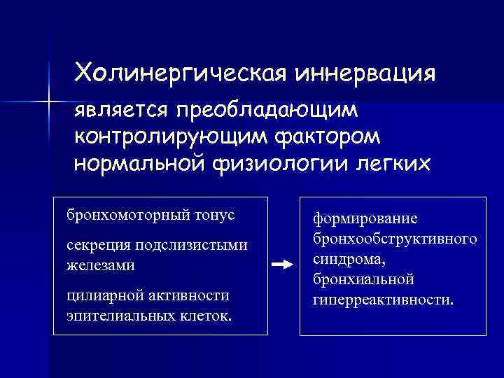 Холинергическая иннервация является преобладающим контролирующим фактором нормальной физиологии легких бронхомоторный тонус формирование секреция подслизистыми