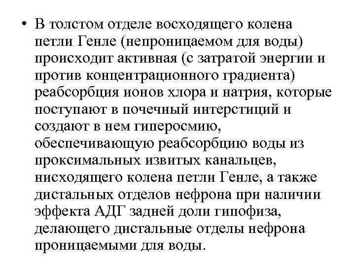 • В толстом отделе восходящего колена петли Генле (непроницаемом для воды) • В толстом отделе восходящего колена петли Генле (непроницаемом для воды)