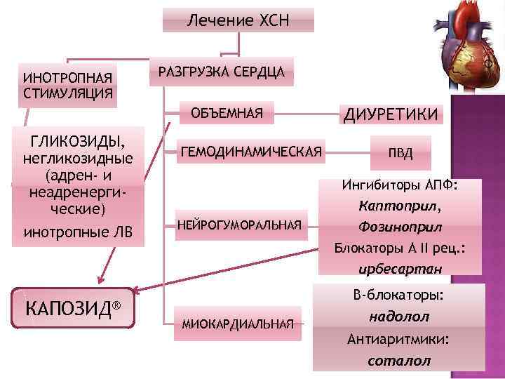     Лечение ХСН  ИНОТРОПНАЯ РАЗГРУЗКА СЕРДЦА СТИМУЛЯЦИЯ   