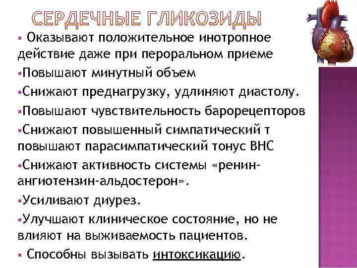 § Оказывают положительное инотропное действие даже при пероральном приеме § Повышают минутный объем §