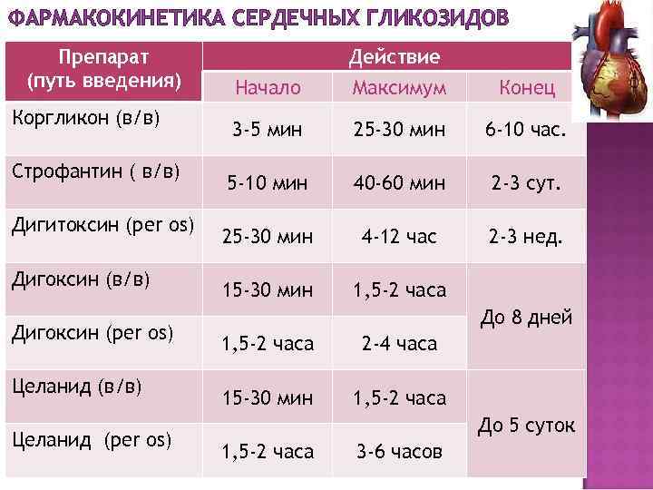ФАРМАКОКИНЕТИКА СЕРДЕЧНЫХ ГЛИКОЗИДОВ Препарат    Действие (путь введения)  Начало Максимум 