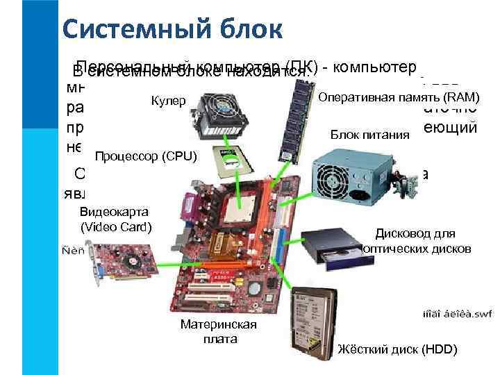 Из перечня устройств выберите те которые находятся в системном блоке процессор сетевая карта