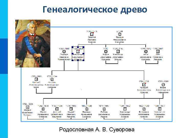 Генеалогическое древо  Родословная А. В. Суворова 