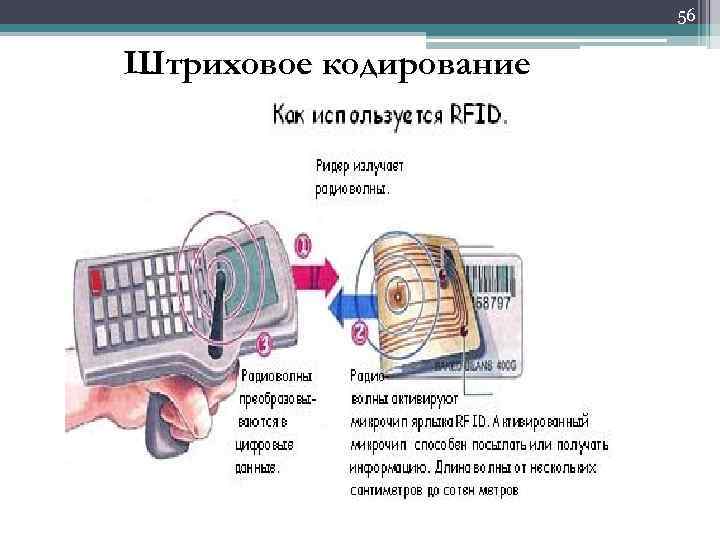 56 Штриховое кодирование 