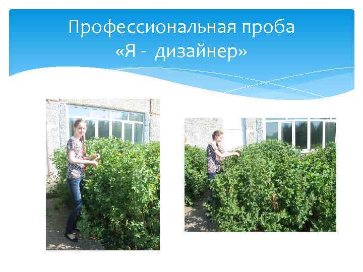 Профессиональная проба «Я - дизайнер» 