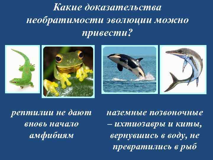   Какие доказательства  необратимости эволюции можно   привести? рептилии не дают